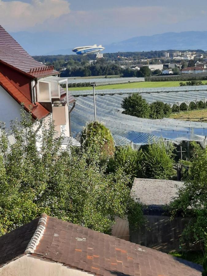 Ferienhaus Vogt FDH Екстериор снимка